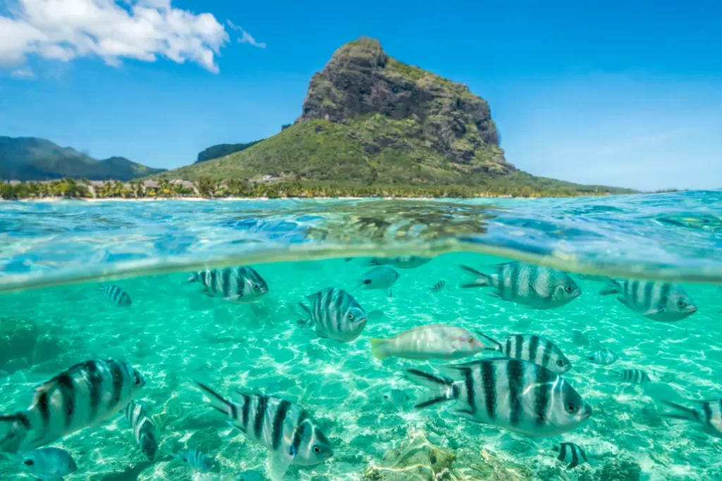 Mauritius - Getty images